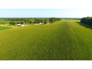 TRACT 5 - ILLINOIS LAND AUCTION - 4,810+/- ACRES OFFERED IN 85 TRACTS IN FRANKLIN, WILLIAMSON, HAMILTON & SALINE COUNTIES, ILLINOIS